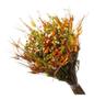 Imagem de Buque de Flor Seca Estrelinha Presente Decoração