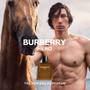 Imagem de Burberry Hero Eau de Parfum 100ml Masculino