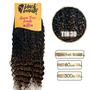 Imagem de cabelo cacheado afro queen trees braids black beauty 300grs