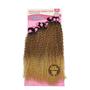 Imagem de Cabelo Cacheado Bio Fibra Brazilian Virgin Hair Leonor Sleek Cor TT4T30B24B