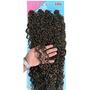 Imagem de Cabelo Estilo Miojinho Para Crochet Braids Modelo Raquely 400g Cherey