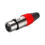 Imagem de Cabo de Microfone XLR / XLR Santo Angelo Plug Roxtone 05 Metros Vermelho