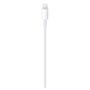 Imagem de Cabo de USB-C para Lightning com Extensão de 2m - Apple - MW2R3AM/A