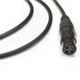 Imagem de Cabo Microfone P10/Xlr F Santo Angelo HG B 03ft 90 cm