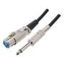 Imagem de Cabo MXT para Microfone P10 x XLR 10 METROS 