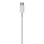 Imagem de Cabo USB-C Lightning para iPhone iPad ou iPod Apple Original 1m MM0A3AM/A