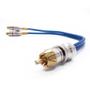 Imagem de Cabo Y Prime Plug Metal 5mm Transparente Azul 2 Femeas e 1 Macho Tech One