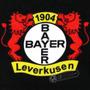 Imagem de Cachecol Bayer Leverkusen