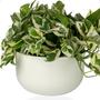 Imagem de Cachepot Cuia Vaso Pote 21 Raiz Due N6 21x14cm Encaixe Decore Cachepô Plástico para Decorar