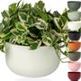 Imagem de Cachepot Cuia Vaso Pote 21 Raiz Due N6 21x14cm Encaixe Decore Cachepô Plástico para Decorar