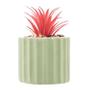 Imagem de Cachepot de Cimento com Suculenta Lines Verde Claro 7,5cm 61586 - Wolff