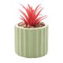 Imagem de Cachepot de Cimento com Suculenta Lines Verde Claro 7,5cm 61586 - Wolff