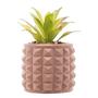 Imagem de Cachepot de Cimento Com Suculenta Spikes Marrom 10cm X 15cm - Wolff