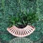 Imagem de Cachepot de Madeira Rustico Cesto Para Plantas E Orquideas
