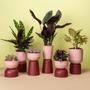 Imagem de Cachepot Due Mini Cuia Pote Ideal p/ Vaso Numero 13 p/ Plantas Raiz Cachepô Encaixe e Decore Cores Variadas
