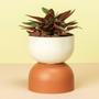Imagem de Cachepot Mini Vaso Pote 13 Raiz Due N1 14x8cm Encaixe Decore Cachepô Plástico para Decorar
