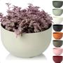 Imagem de Cachepot Mini Vaso Pote 13 Raiz Due N1 14x8cm Encaixe Decore Cachepô Plástico para Decorar