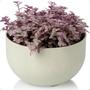 Imagem de Cachepot Mini Vaso Pote 13 Raiz Due N1 14x8cm Encaixe Decore Cachepô Plástico para Decorar
