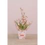 Imagem de Cachepot Paper Decorado Pote 15 Helena 16X17X11CM PCT.C/10