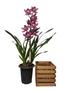 Imagem de Cachepots De Mesa 20 X20 (Orquídea)