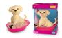 Imagem de Cachorro da Barbie Pet Shop Taff com Acessórios banho Brinquedo 1257 Mattel
