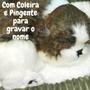 Imagem de Cachorro Filhote Pelúcia Perfect Petzzz Respira Shih Tzu