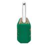 Imagem de Cadeado Color Line Papaiz CR25 KA1 Verde
