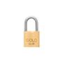 Imagem de Cadeado Gold 25mm  Gcc200002 - Kit C/12