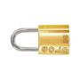 Imagem de Cadeado Gold Art 25Mm Gcc2N0002 - Kit C/10