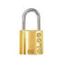 Imagem de Cadeado Gold Art 25Mm Gcc2N0002 - Kit C/10