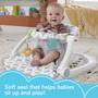 Imagem de Cadeira de bebê portátil Fisher-Price com mordedor livre de BPA e