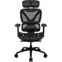 Imagem de Cadeira Ergonomica Thunderx3 Xtc Mesh Black