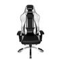 Imagem de Cadeira Gamer Akracing Premium V2 Silver