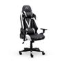 Imagem de Cadeira Gamer XT Racer Viking Series, Até 120Kg, Com Almofadas, Reclinável, Descanso de Braço 3D, Preto e Branco - XTR-021