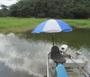 Imagem de Cadeira Giratória Passageiro para Barco de Alumínio cor Preta com Guarda Sol Articulável