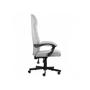 Imagem de Cadeira Office PCYES Magnus, Até 120kg, Ergonomica, Ajuste de Altura, Cinza.PCEMAGCZ