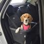 Imagem de Cadeirinha Assento Carro Cão Gato Transpet Tubline One