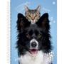 Imagem de Caderno 01X1 Capa Dura MY PETS 80 Folhas Pacote com 04