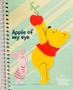 Imagem de Caderno 1/4 Capa Dura Espiral Ursinho Pooh 80 folhas Capas Sortidas