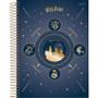 Imagem de Caderno 10X1 Capa Dura Colegial HARRY Potter 160 Folhas - Pacote com 5 Unidades