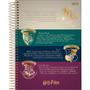 Imagem de Caderno 10X1 Capa Dura Colegial HARRY Potter 160 Folhas - Pacote com 5 Unidades