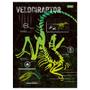 Imagem de Caderno Sauros Velociraptor - 80 Folhas - Foroni