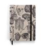 Imagem de Caderno Sketchbook Anatomia Antique Capa dura 14 x 21 cm 80 fls