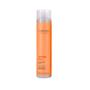 Imagem de Cadiveu Sh. Bye Bye Frizz 250ml + Wess OX 20 Volumes 900ml
