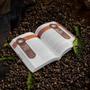Imagem de Café Com Deus Pai 2025  Porções Diárias de transformação  Junior Rostirola  Devocional  BEST SELLER - editora velos