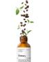 Imagem de Caffeine Solution 5% + EGCG 30ml The Ordinary - Creme para olheiras