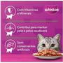 Imagem de Caixa 20 saches whiskas carne 85gr.