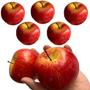 Imagem de Caixa 5 Frutas Permanentes Maçã Rajada para Arranjos Cores Vivas e Aparência Real