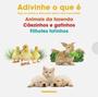 Imagem de Caixa adivinhe o que e 1 (animais da fazenda, cae