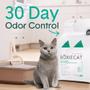 Imagem de Caixa de Areia para Gato Boxie - Suavemente Perfumada com Controle de Odor Natural (30 Dias)